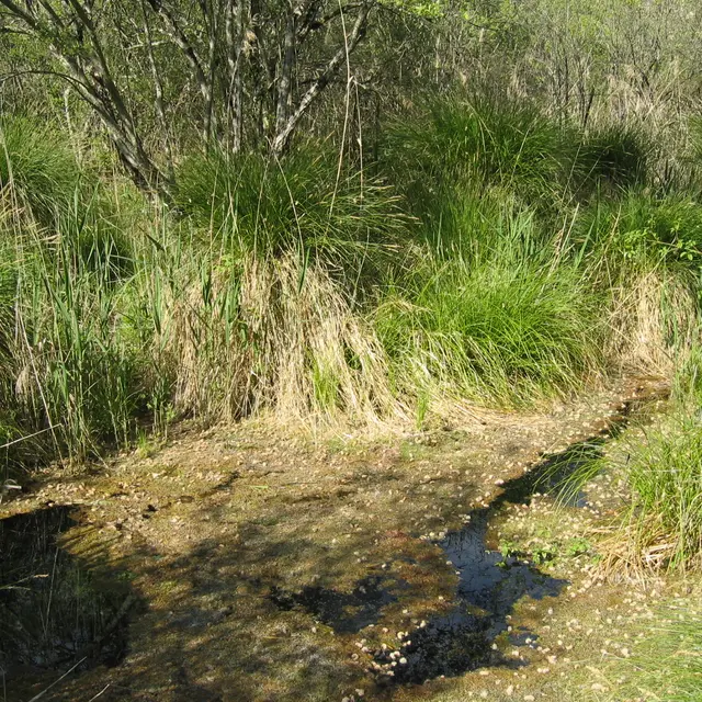 La source de la Gourgue -112_1277.JPG