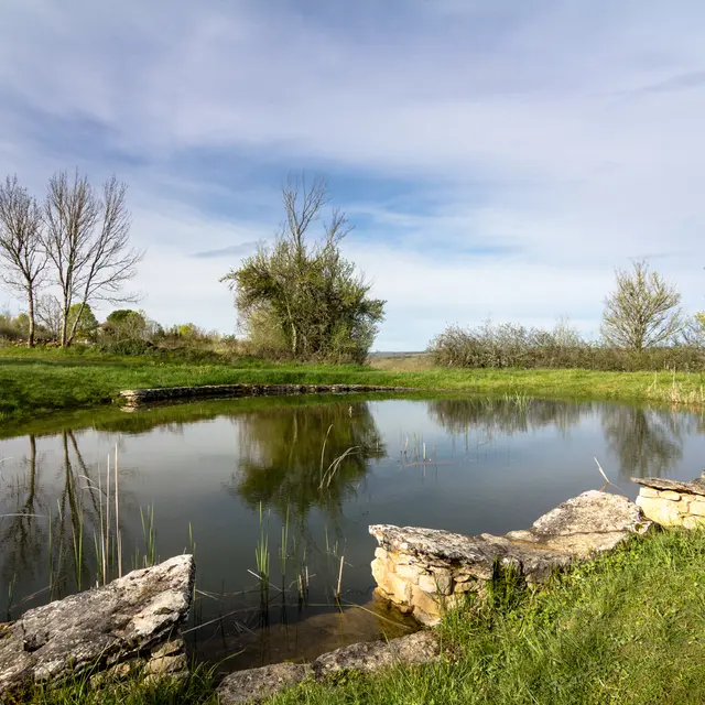 Lac et lavoirs de l'Escalier © Lot Tourisme C. Novello-12.jpg