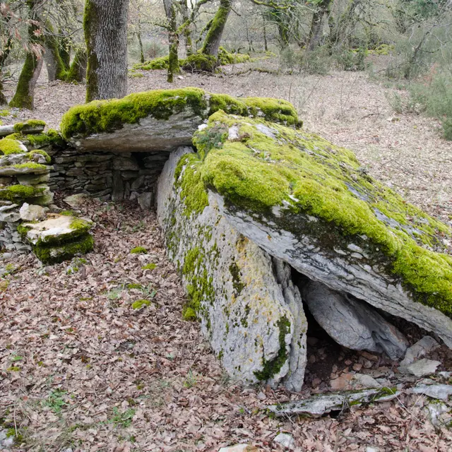 POI 6 - photo principale dolmen de Pech d'Agaão.jpg