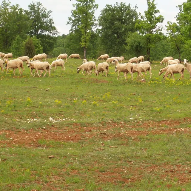 POI 4 - photo générale credit PNRCQ.jpg