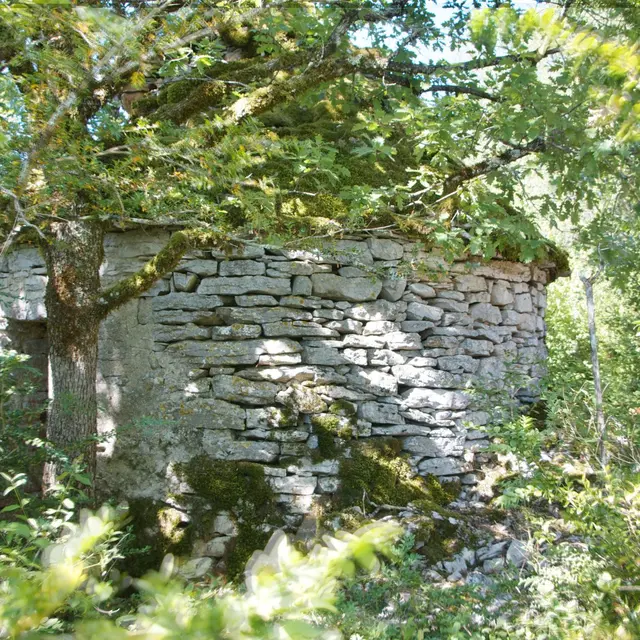 6a - La Grangette et la Cazelle_1.jpg