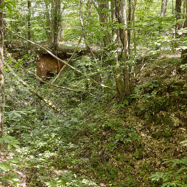 Excavation © N.Blaya Département du Lot.jpg