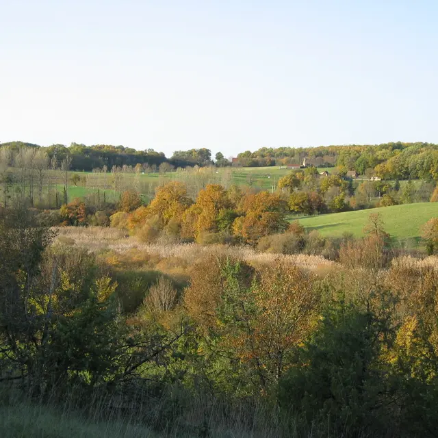 Réserve naturelle Marais de BonnefontBeau paysage automne 2.JPG