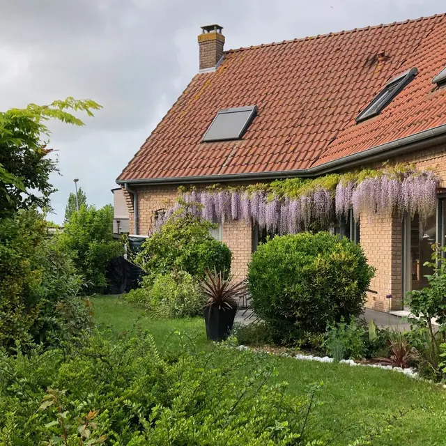 Maison-1024x1024.jpg