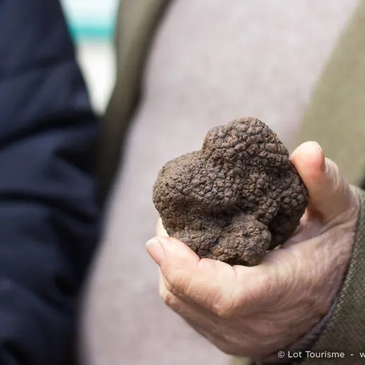 Au Marché aux truffes à Lalbenque Lot Tourisme - C. Novello 160126-161411_800x517.jpg