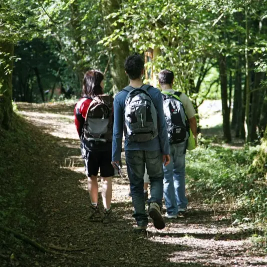 Balade sur le chemin des Arts à Latouille-Lentillac--Lot Tourisme - J. Morel.jpg