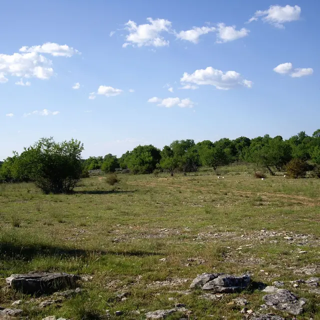 pelouses sèches © PNR des Causses du Quercy.JPG