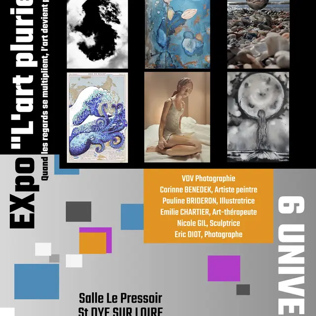 affiche expo st dyeA4.jpg