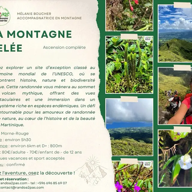 850704_504041066_18017642243734083_4637354410387492157_n copie.jpg