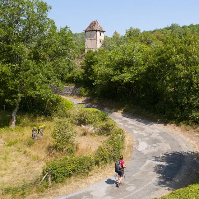 WEB21-200724025646 Sur le GR6 - vers Caoulet © C. Novello - Lot Tourisme.jpg