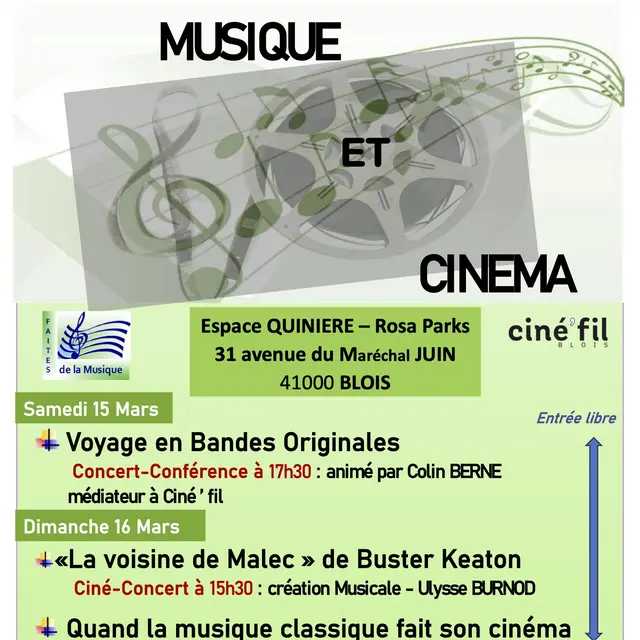 AFFICHE MUSIQUE FILM validée.jpg