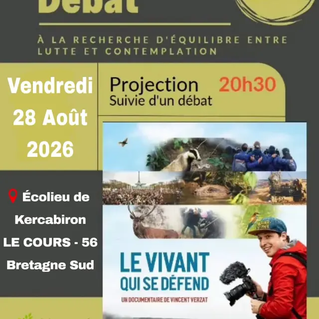 CineDebat.jpg