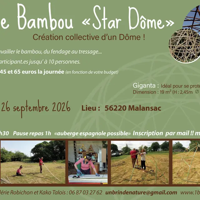 Star dôme Stage(1).jpg