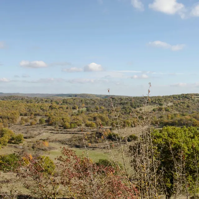 POI 1 - Panorama St Chels.jpg