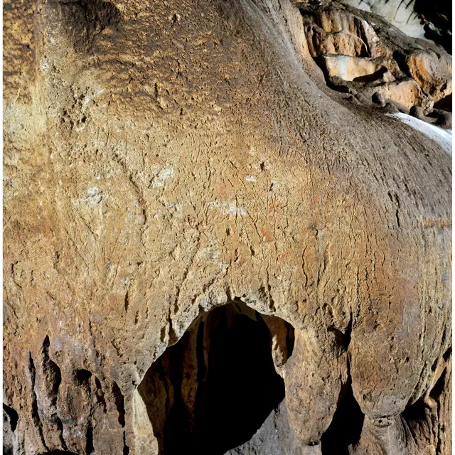 POI 1- bouquetin gravé © Photo. Jean-François Peiré - DRAC Midi-Pyrénées..JPG