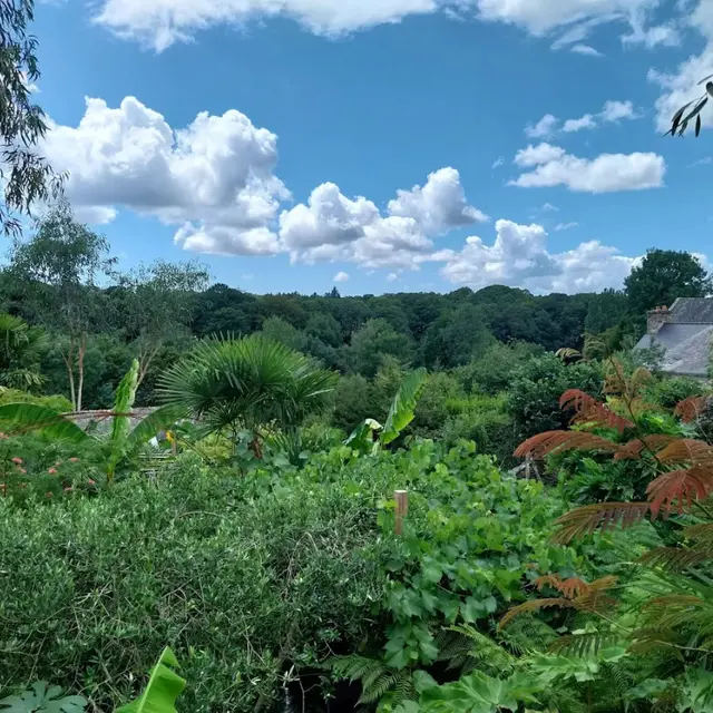 Vue de la terrasse - Rochefort-en-Terre.jpg