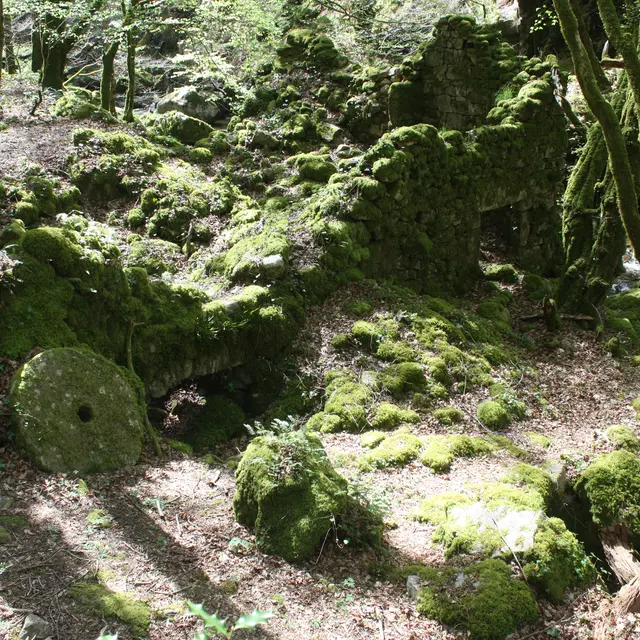 MOULIN DE MONFREU 07 PR.JPG