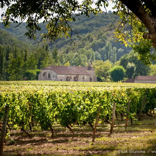 Notre Dame de l_Ile - Luzech © Lot Tourisme - Cyril Novello 100912-162344_800x533.jpg