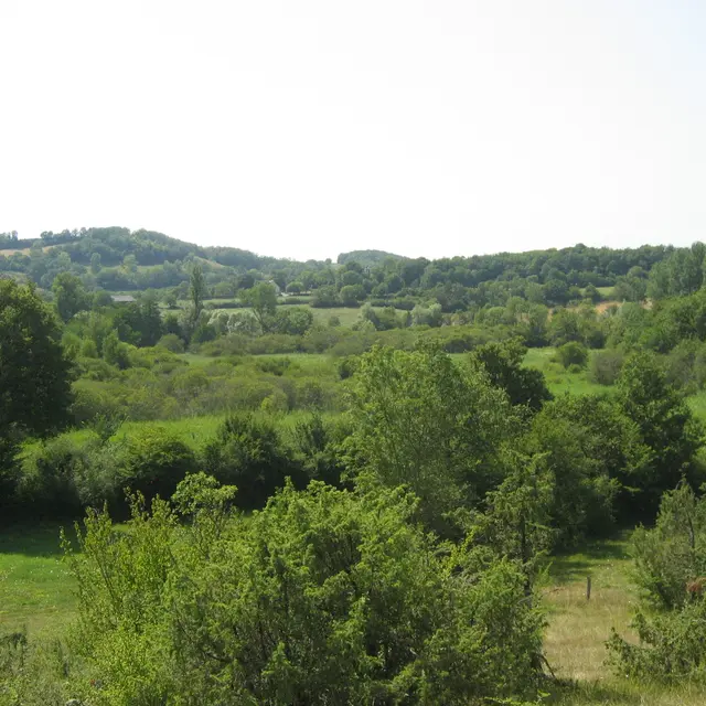 Réserve naturelle Marais de BonnefontIMG_6721.jpg