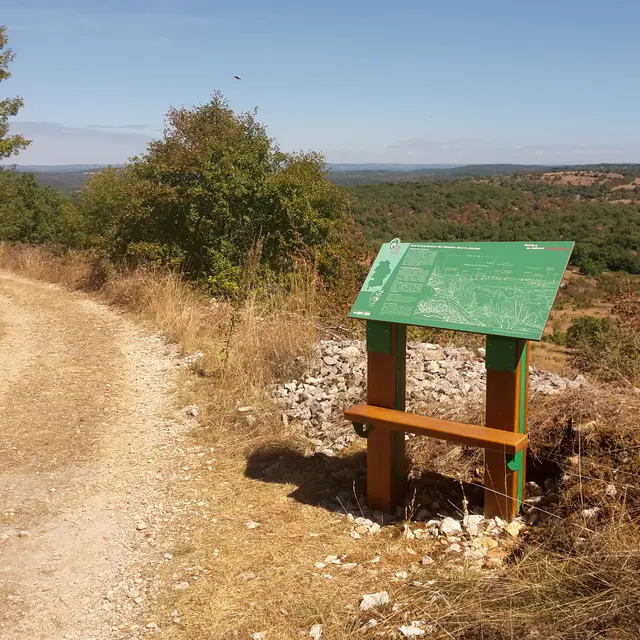 POI 1- photo princiaple table paysagère.jpg