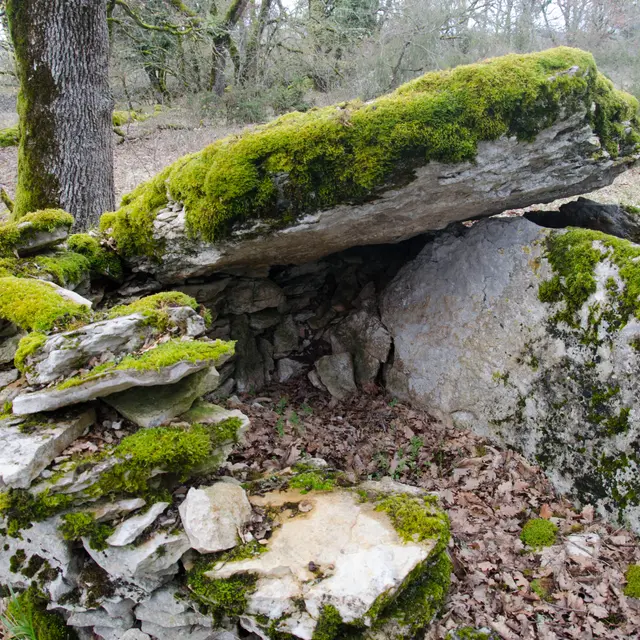 POI 6 - détail dolmen de Pech d'Agaão.jpg