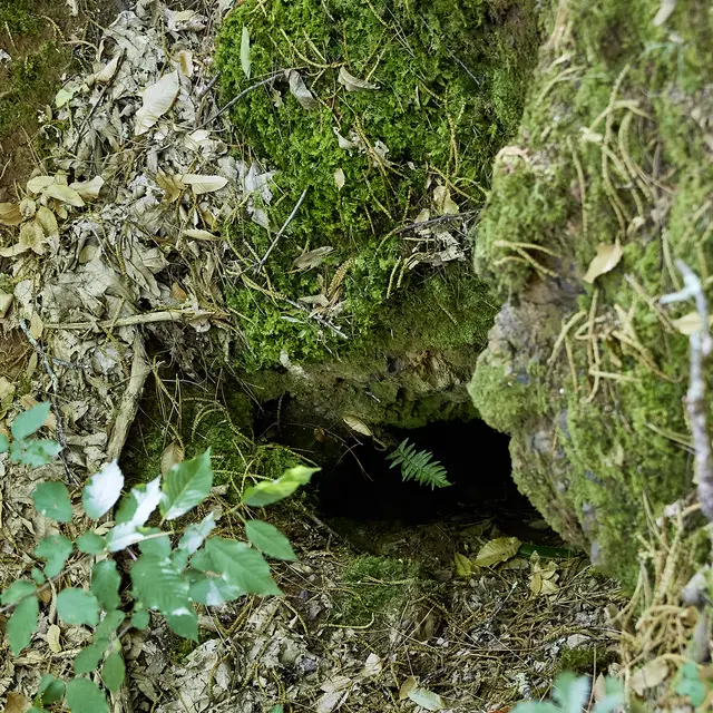 Excavation 02 © N.Blaya Département du Lot.jpg