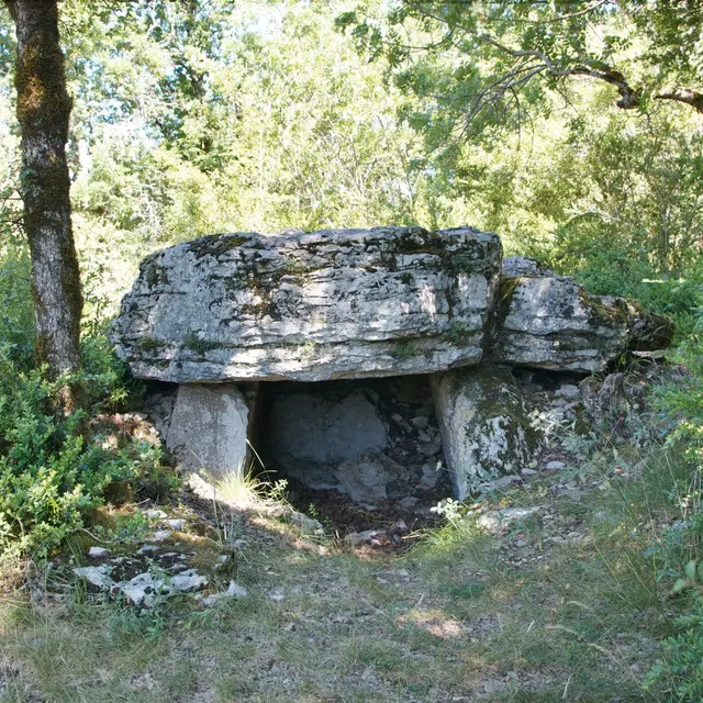 5 - Le dolmen de Pierre Levée_1.jpg