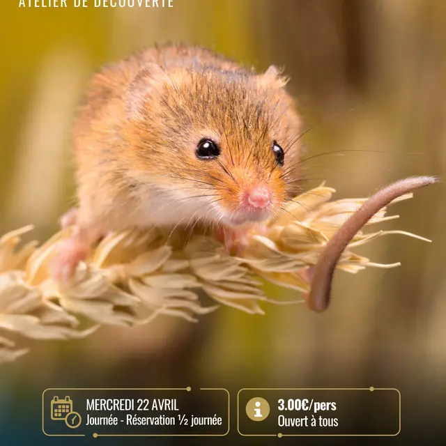 Affiches 2026-3_compressed_page-0001.jpg