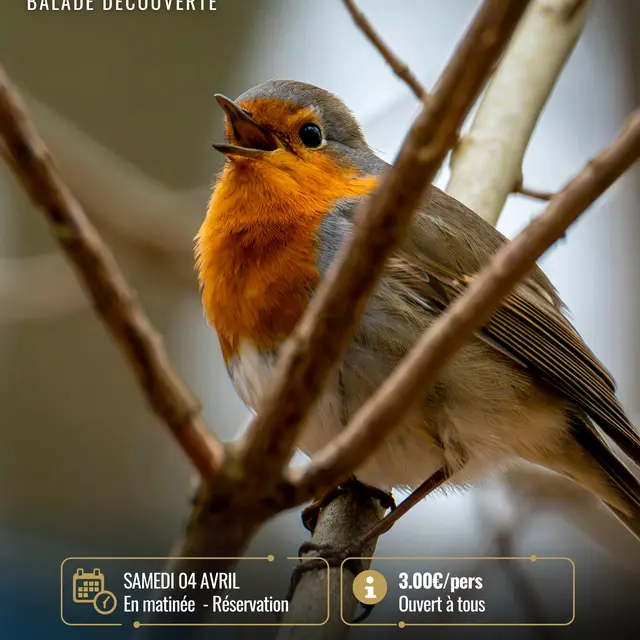 Affiches 2026-2_page-0001.jpg