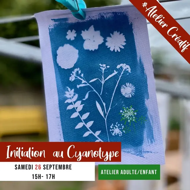 cyanotype_2026.jpg