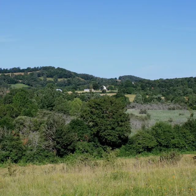 Réserve naturelle Marais de BonnefontPhoto_03.07.2012_08.JPG