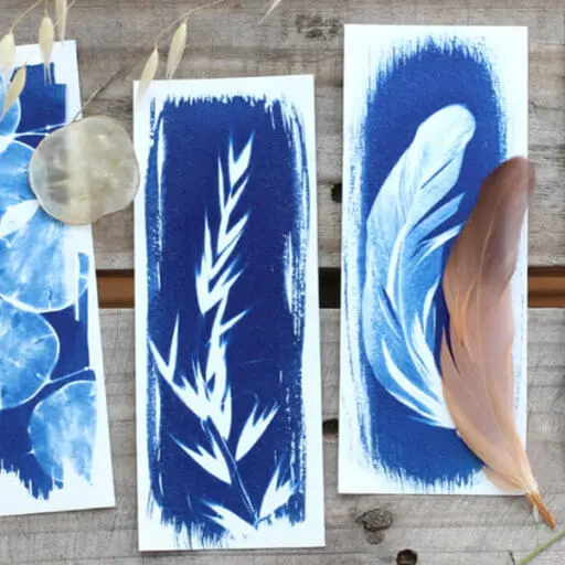 Cyanotype.jpg