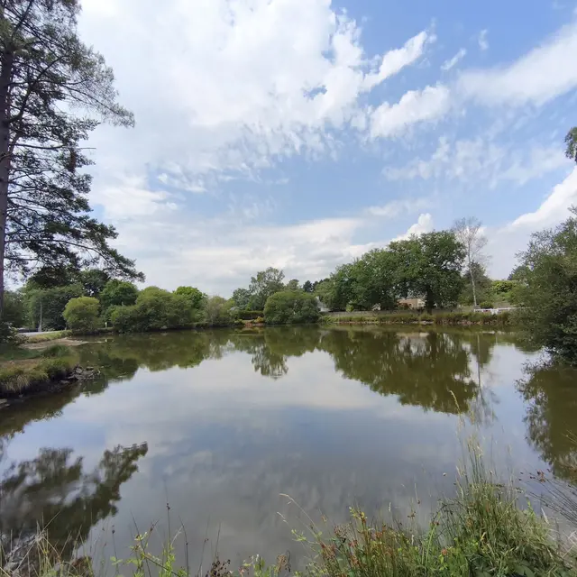 Etang ©Mairie-Molac.jpg