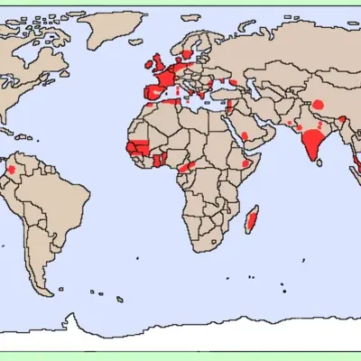 POI 1 - carte mÉgalithe dans le monde.jpg