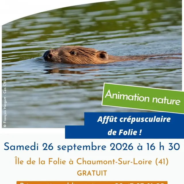 Affiche_IleDeLaFolie_26092026.jpg