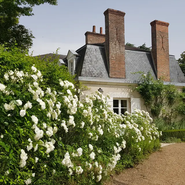 Bienvenue à la Taille de Biou