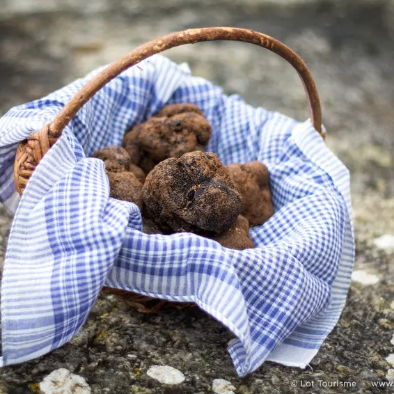 Truffes Passion - Limogne © Lot Tourisme C. Novello 160129-140739_800x566.jpg