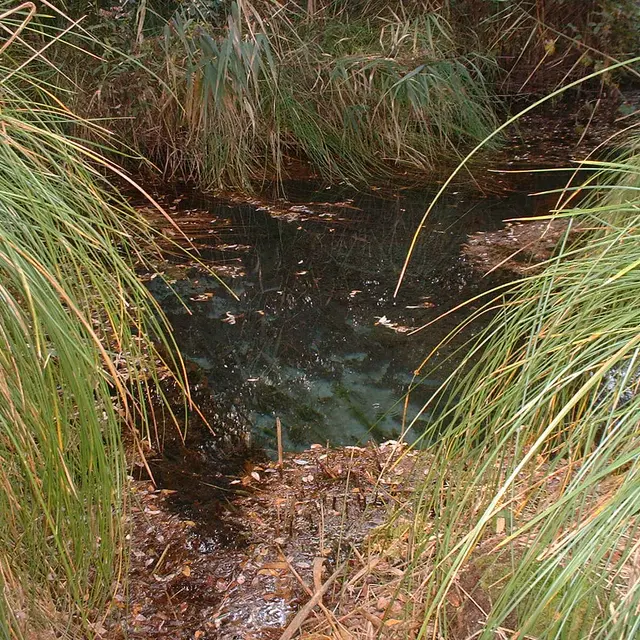 La source de la Gourgue -Gourgue 4.JPG