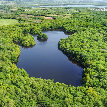 boucle de marie catherine.jpg