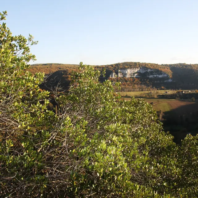 Filaire intermédiaire et point de vue©A.Gouix-Département du Lot.jpg