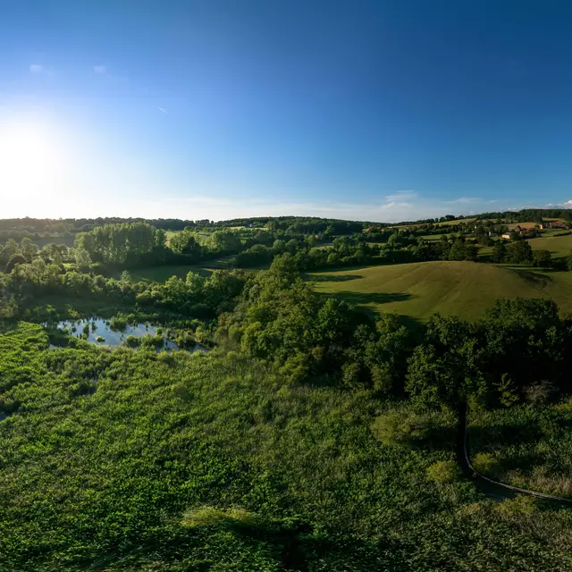 POi 5 - Paysage Limargue ZMZ©www.zmz.fr.jpg