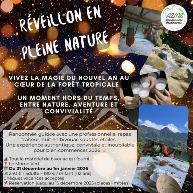 Capture d’écran 2025-11-03 à 09.48.16.jpeg