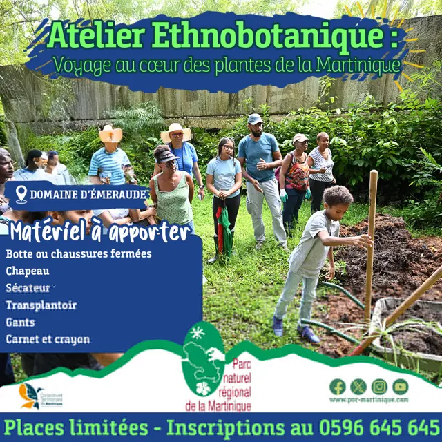 Atelier_ethnobotanique_sans_prix Moyenne copie.jpg