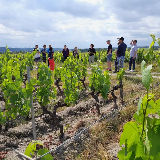 20220605_162921 (1).jpg