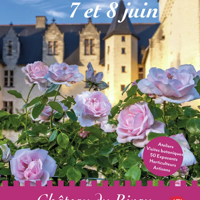 Affiche Fête des Roses 2025.jpg
