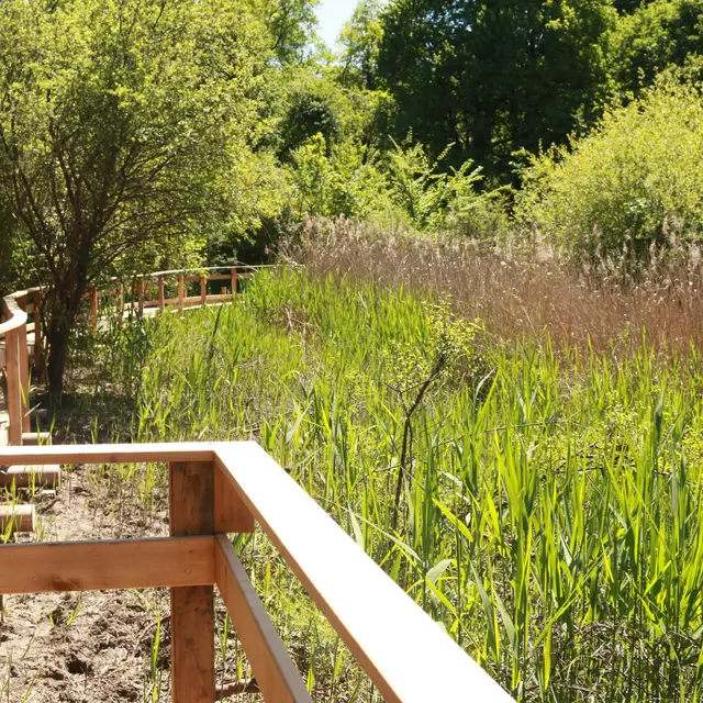 Poste d'observation.JPG