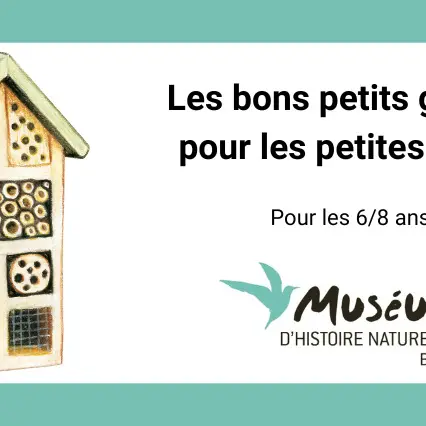 les bons petits gestes pour les petites bêtes 6_8 ans.jpg