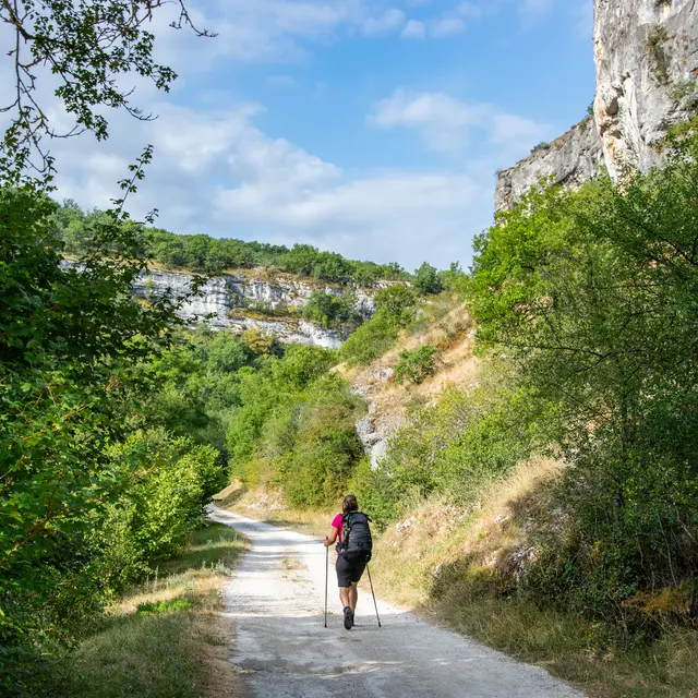 WEB21-200723090858 Sur le GR6 - vallée de l'Alzou © Lot Tourisme - C. Novello.jpg