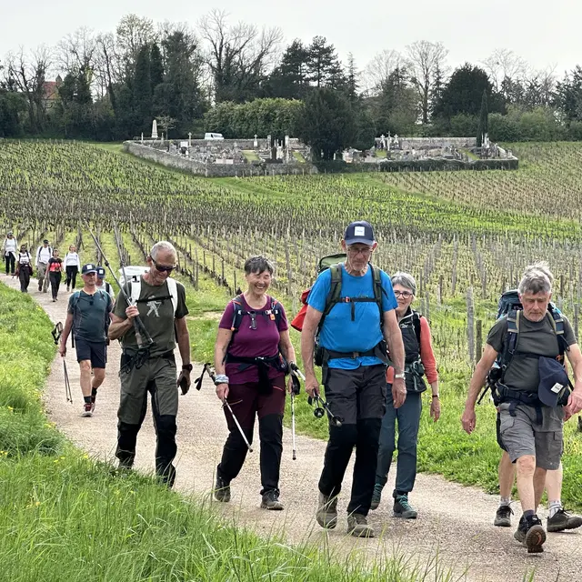 Randonnee-mercurey-vignes-gorupe-OT (8).jpg