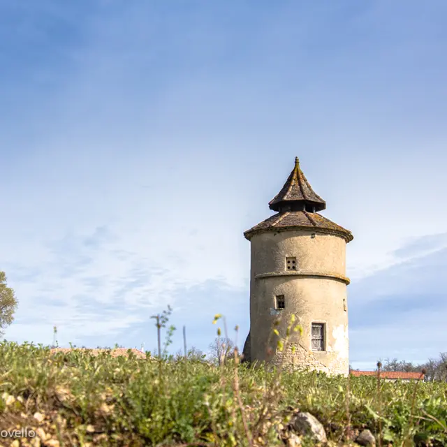 Pigeonier à Lalbenque--© Lot Tourisme C. Novello.jpg